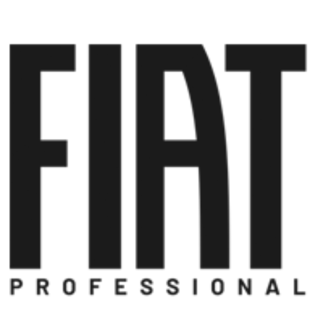Logo Fiat Professional concessionario auto Taranto occasioni offerte